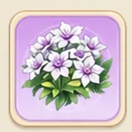 꿈의 보라 으아리