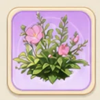 붉은 벚꽃 달맞이꽃