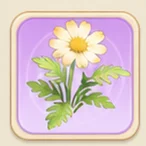 연노랑 마거리트
