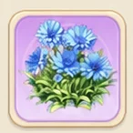 푸른 수레국화