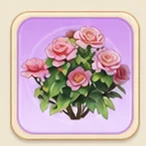 연지 무궁화
