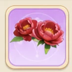 연지 작약
