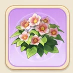 연홍색 접시꽃