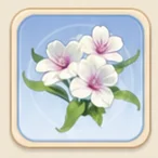 보라심장 물상추
