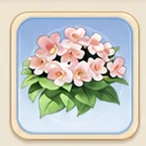 복숭아빛 재클린