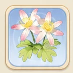 연분홍 노루귀