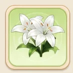 흰 백합