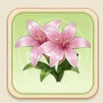 분홍 백합