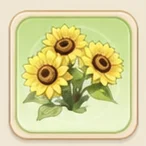 해바라기