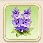 자운 라일락